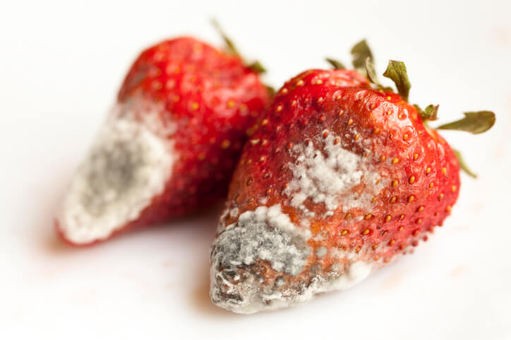 mold on strawberries - food spoilage and contamination restaurant insurance park ridge nj
